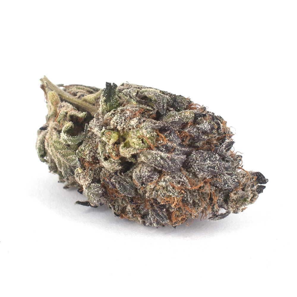Blue Rhino (AAA)