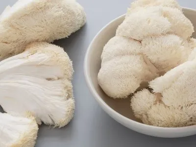 lion’s Mane Mushroom