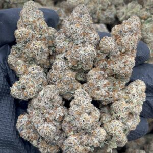 FAIRY DUST CALI-FLOWER