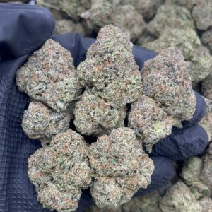 ALIEN GELATO CALI-FLOWER